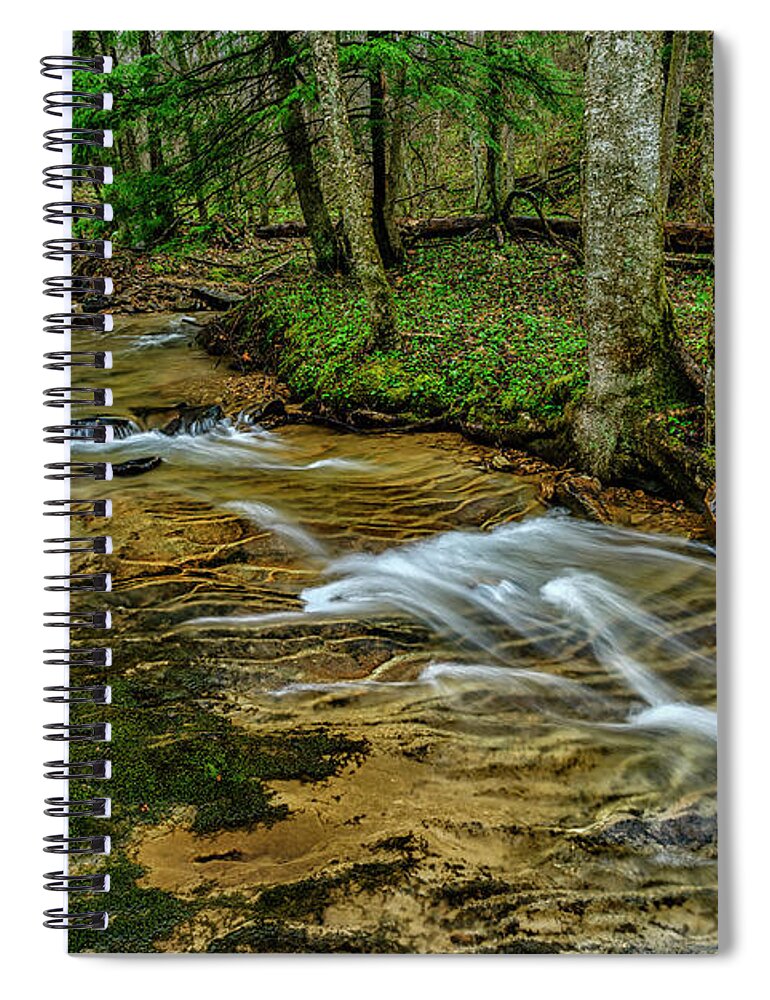 Anthony Creek Spiral Notebook featuring the photograph Spring Green along Anthony Creek by Thomas R Fletcher