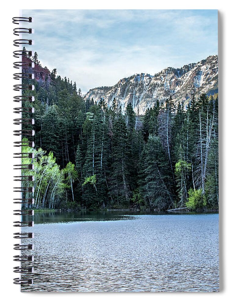 Spring Spiral Notebook featuring the photograph Spring Green by Angela Moyer