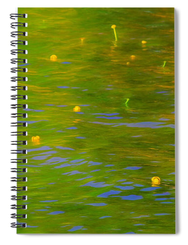 Spring Green On The Lake Spiral Notebook featuring the photograph Spring Green on the Lake by Bonnie Follett