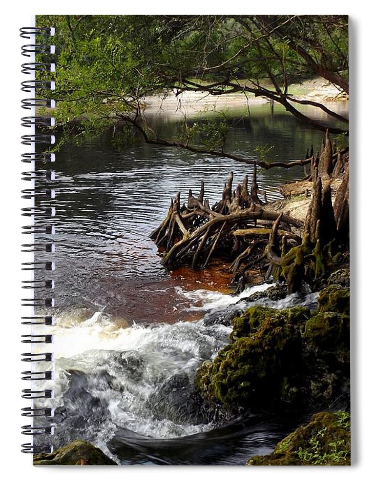 Springs Spiral Notebook featuring the photograph Spring Gushing by Julie Pappas