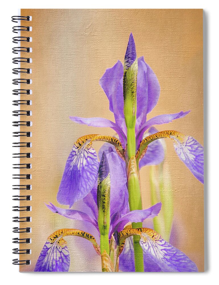 Spring Irises 2 Spiral Notebook featuring the photograph Spring Irises 2 by Debra Martz