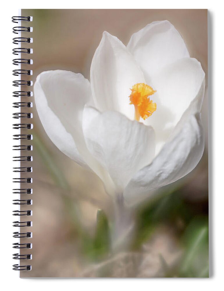 Spring Spiral Notebook featuring the photograph Spring is Here by Jennifer Grossnickle