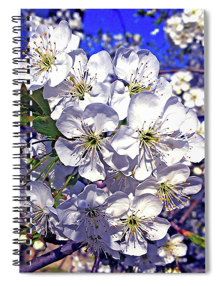 Spring Spiral Notebook featuring the digital art Spring Joy by Jasna Dragun