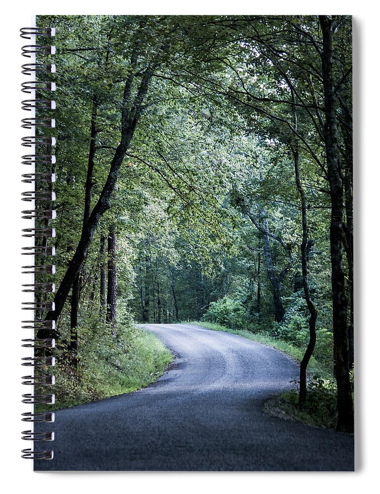 Oak Mountain Spiral Notebook featuring the photograph Spring Light on a Forest Road by Parker Cunningham