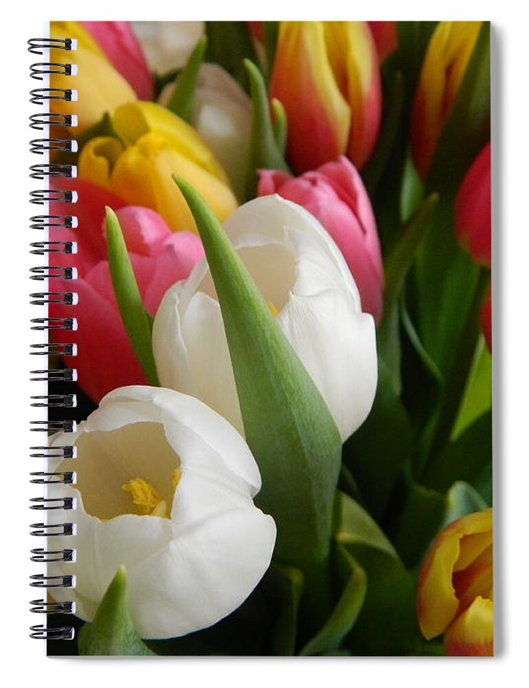 Tulip Spiral Notebook featuring the photograph Spring Mix 2016 by Karen Mesaros
