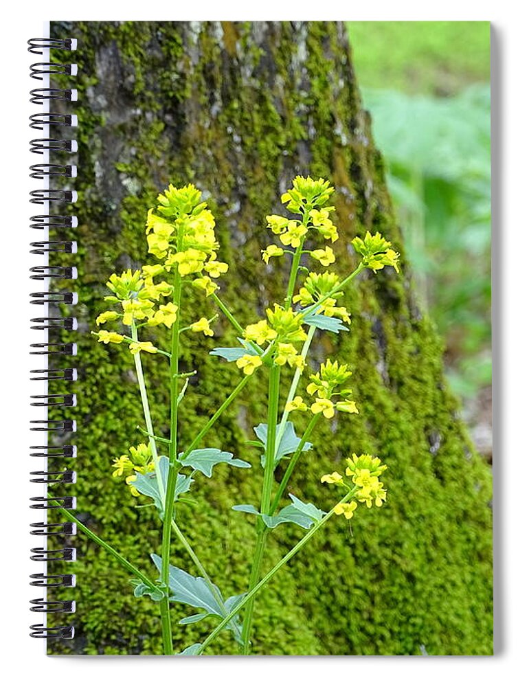 Moss Spiral Notebook featuring the photograph Spring Moss by Mary Halpin