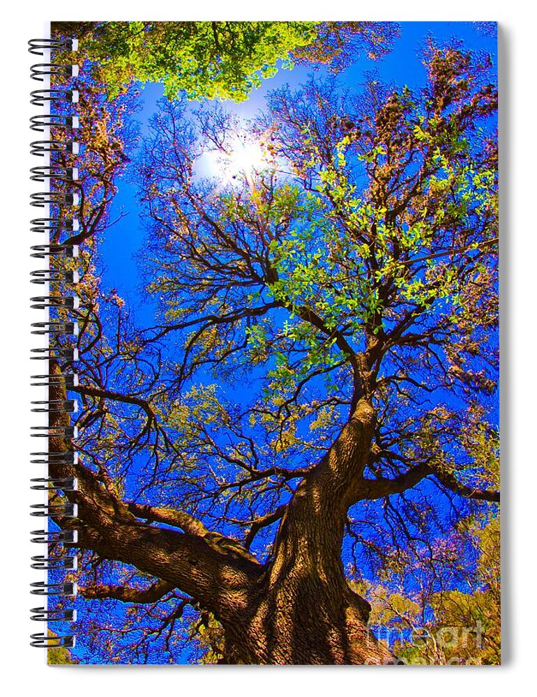 Michael Tidwell Photography Spiral Notebook featuring the photograph Spring Oak by Michael Tidwell