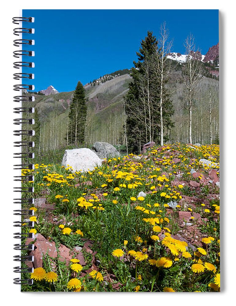 Rocky Mountains Spiral Notebook featuring the photograph Spring Rocky Mountain Landscape by Cascade Colors