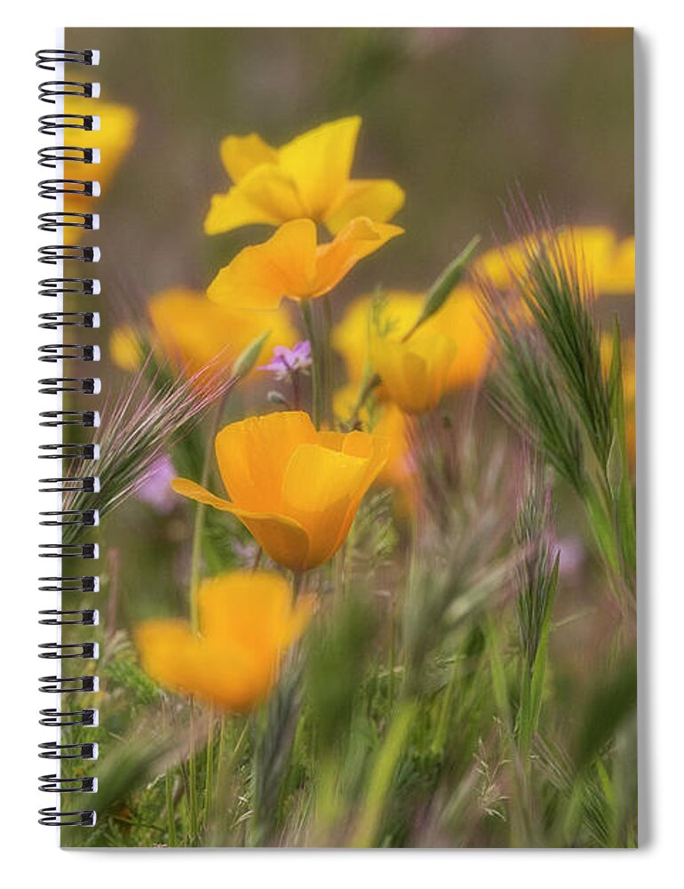 Poppies Spiral Notebook featuring the photograph Spring Softly Calling by Saija Lehtonen