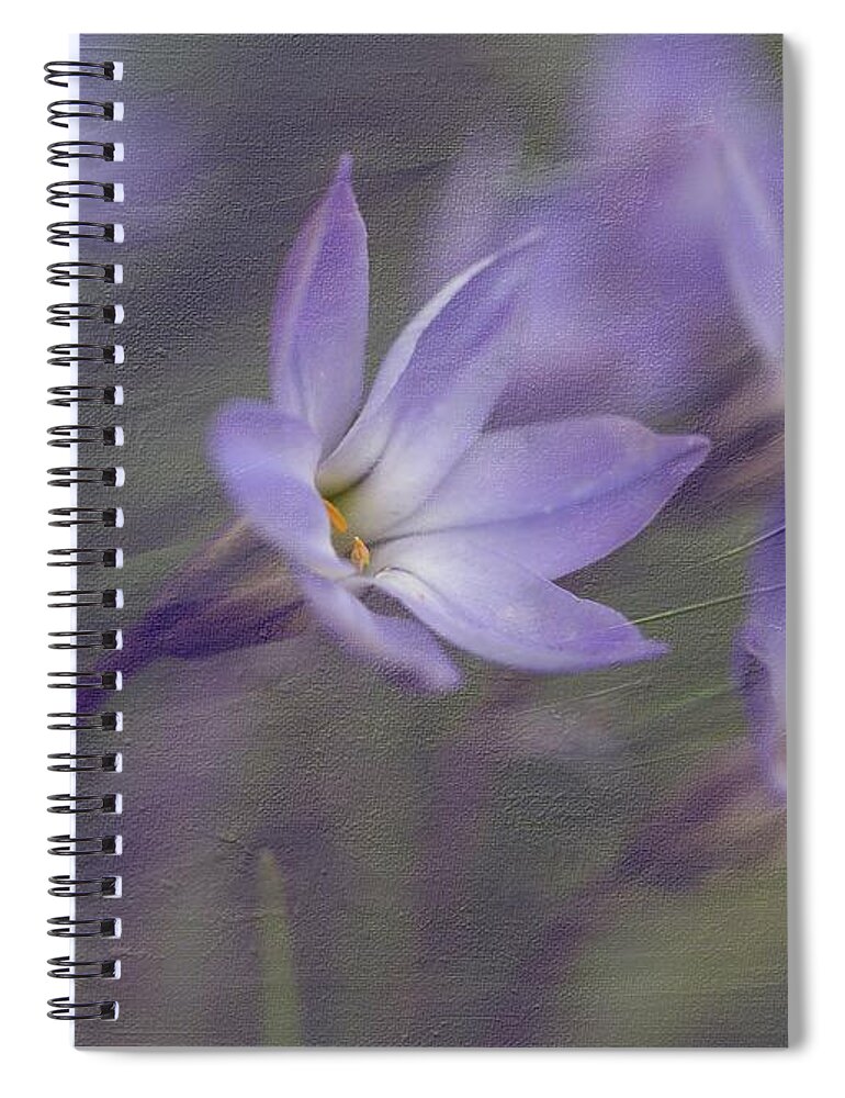 Ipheion Uniflorum Spiral Notebook featuring the photograph Spring Starflower by Eva Lechner
