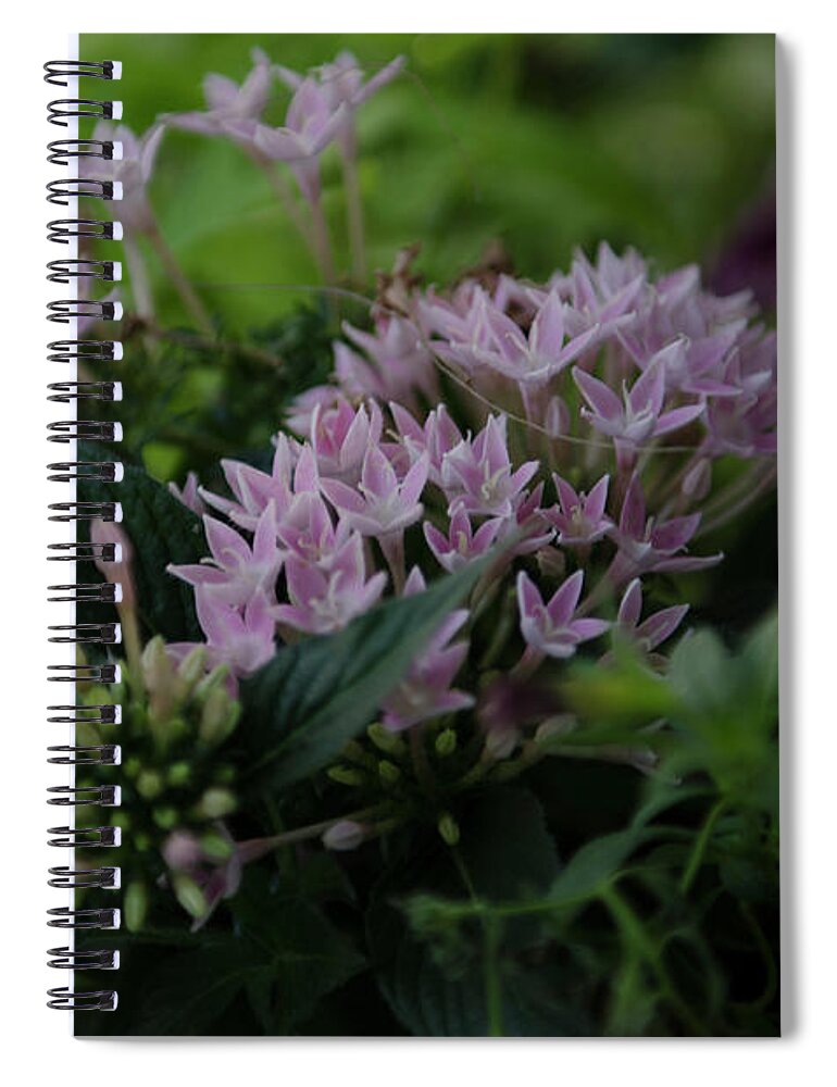 Flowers Spiral Notebook featuring the photograph Spring Time Basket of Flowers by Dale Powell