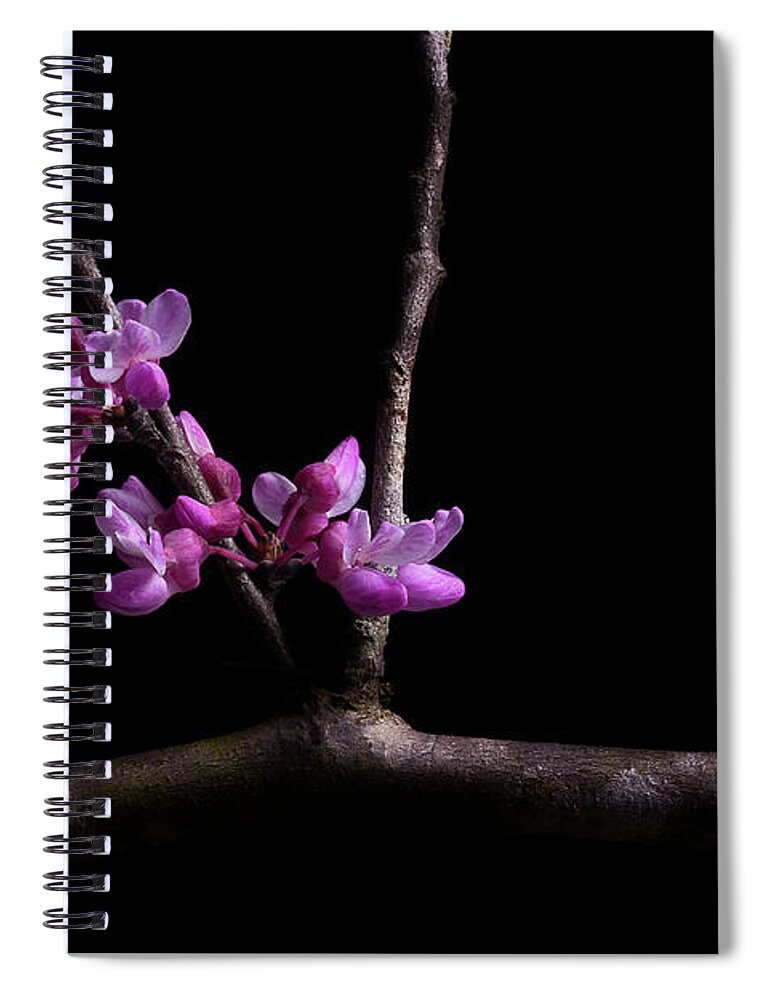 Redbud Spiral Notebook featuring the photograph Spring Time Redbud 2 by Mike Eingle