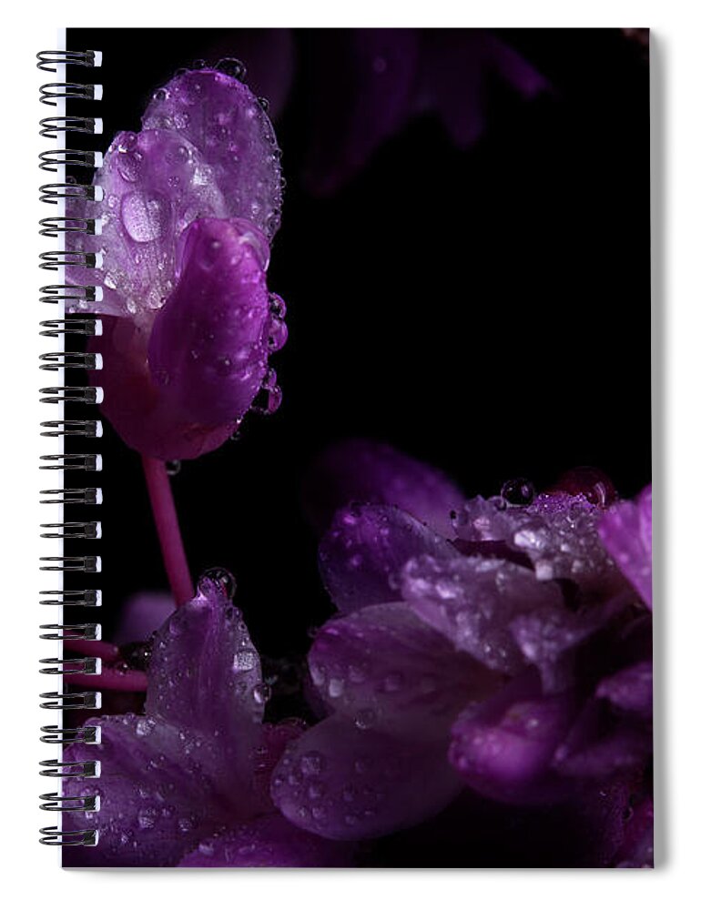 Redbud Spiral Notebook featuring the photograph Spring Time Redbud 5 by Mike Eingle