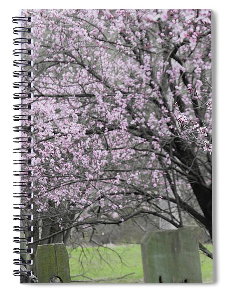 Virginia Spiral Notebook featuring the photograph Spring trees by Agnes Caruso