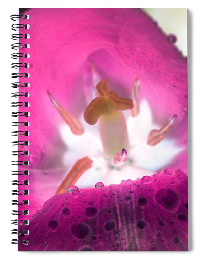 Tulip Spiral Notebook featuring the photograph Spring Tulips - PhotoPower 3042 by Pamela Critchlow