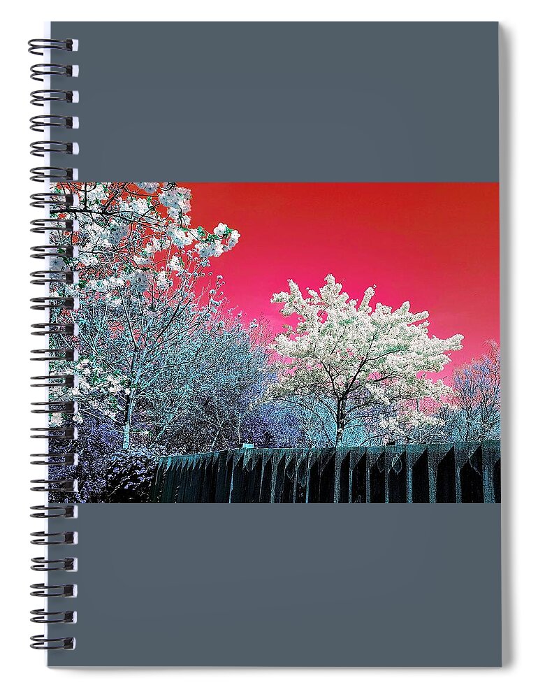 Spiral Notebook featuring the photograph Spring Wonderland In Sundown Splash by Rowena Tutty