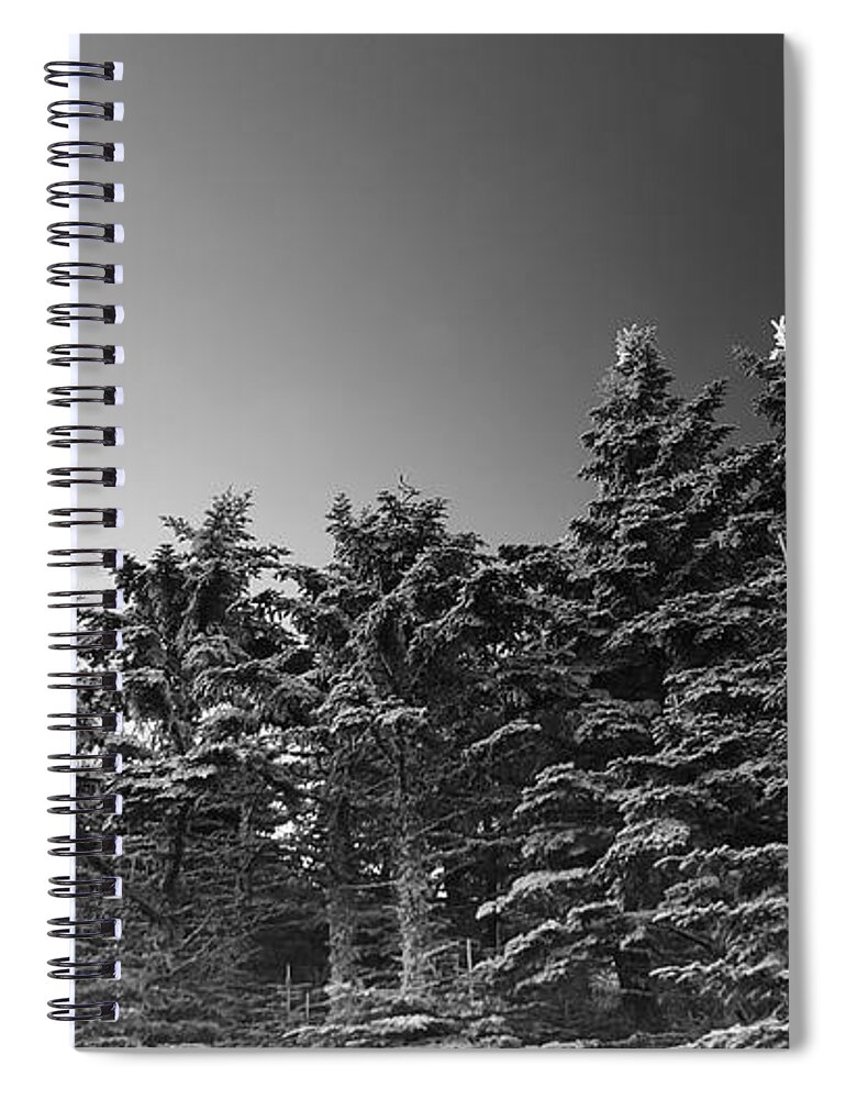 Mount Mitchell Spiral Notebook featuring the photograph Spruce Pine Frost by William Slider