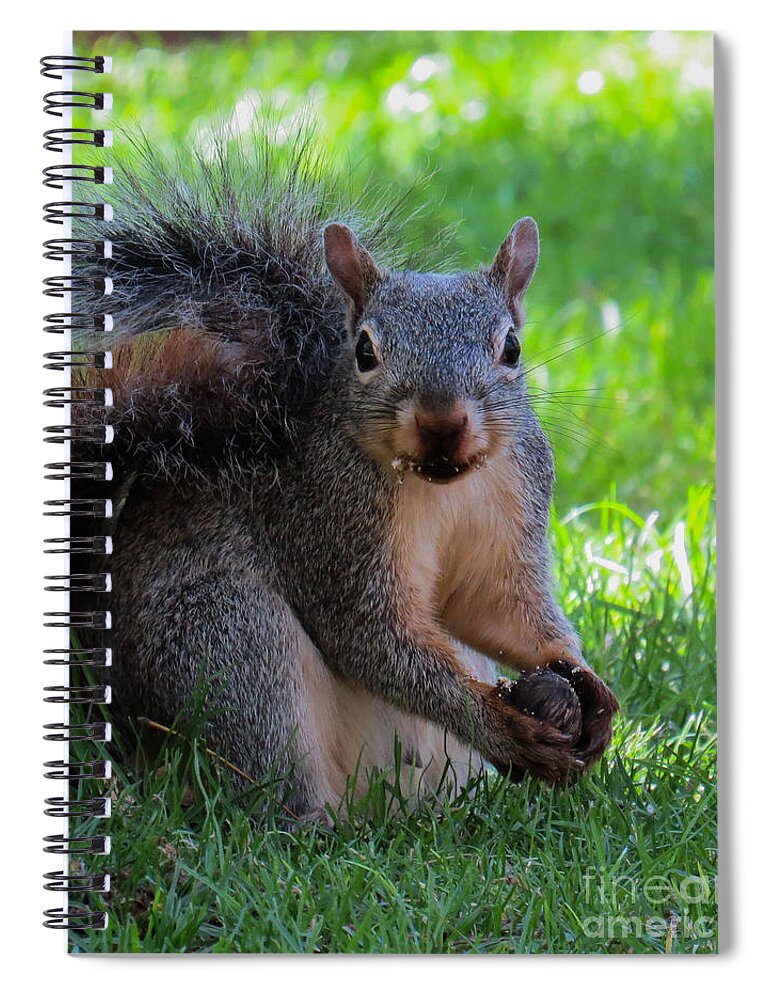 Squirrel Spiral Notebook featuring the photograph Squirrel 2 by Christy Garavetto