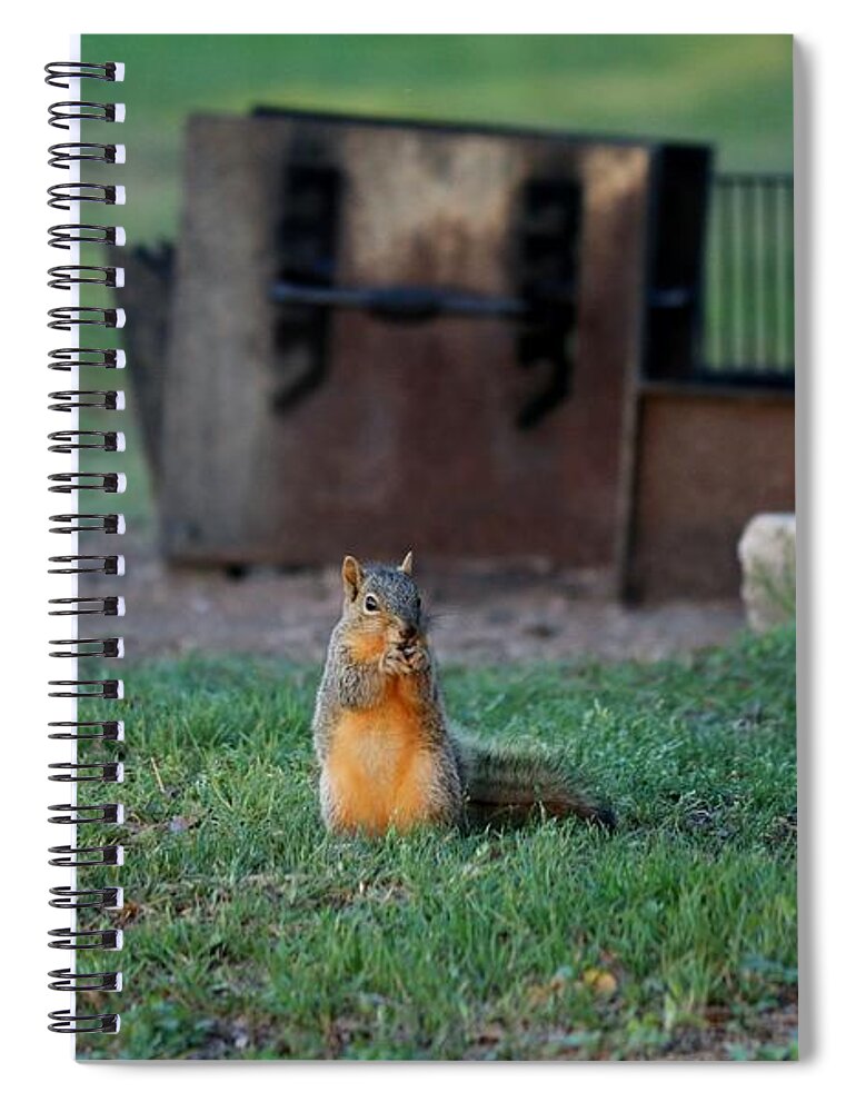 Squirrel Spiral Notebook featuring the photograph Squirrel in Campsite  by Christy Pooschke