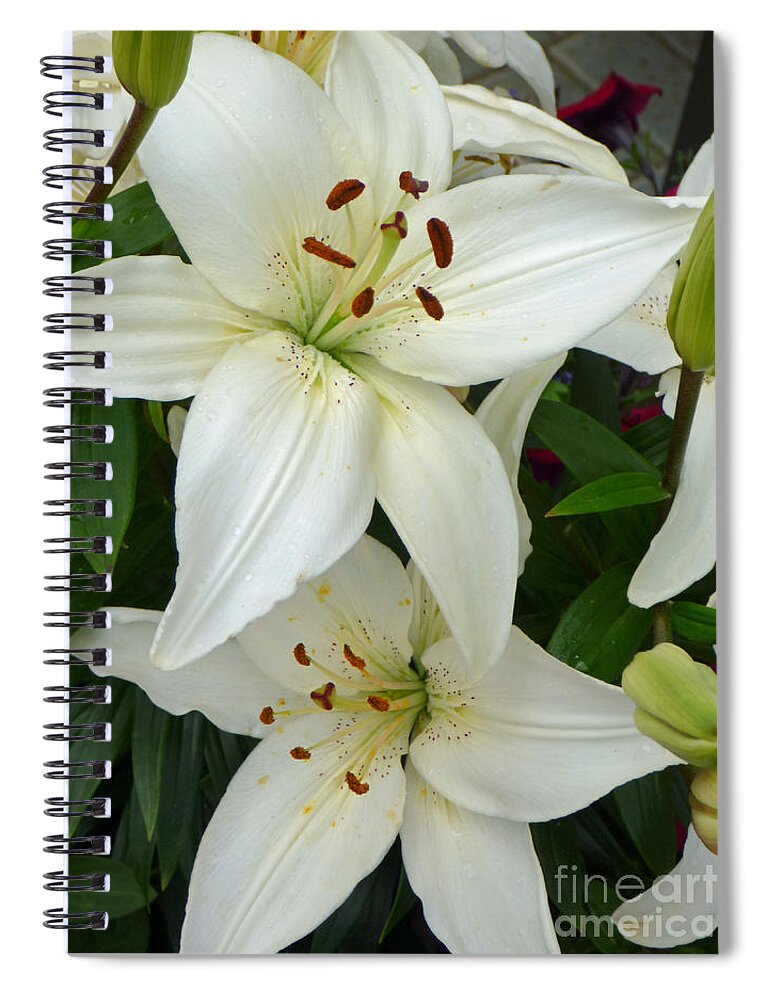 Lily Spiral Notebook featuring the photograph Stacked White Lilies by Sonya Chalmers