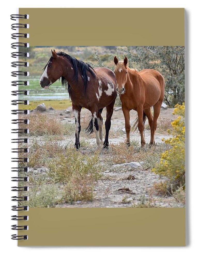 Virginia Range Mustangs Spiral Notebook featuring the photograph Stallion and mare by Maria Jansson