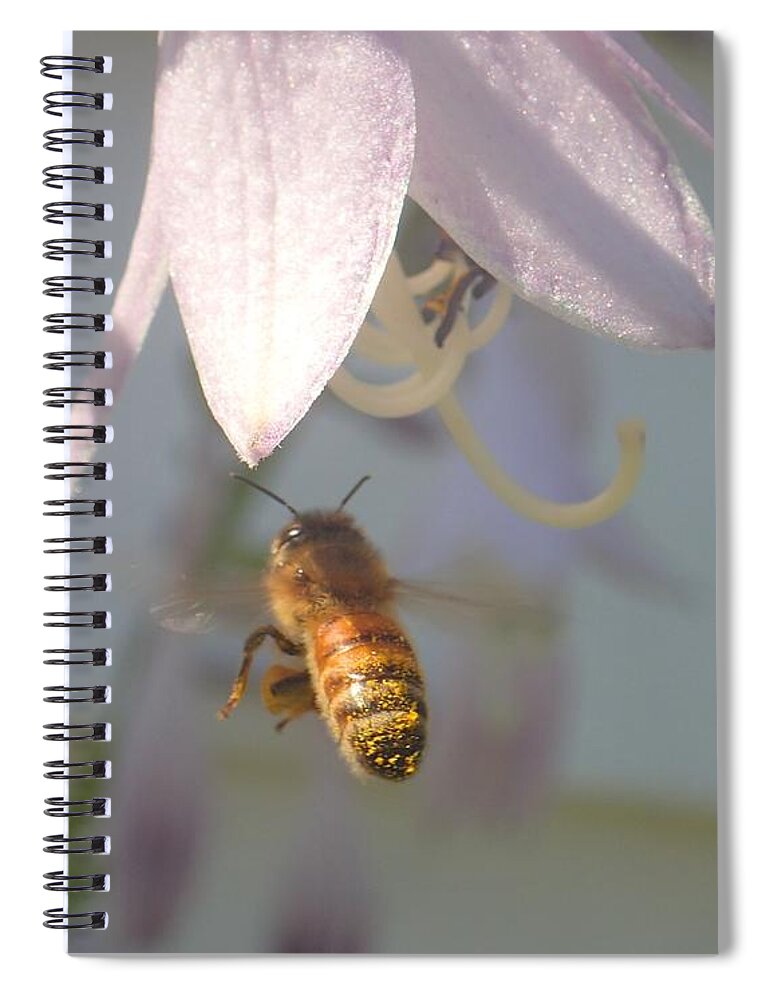 Flower Spiral Notebook featuring the photograph Stamen Attraction 2 by Christina Verdgeline