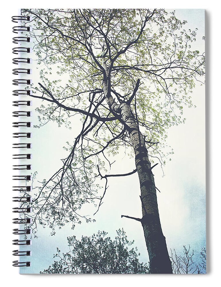 Tall Tree Print Spiral Notebook featuring the photograph Standing Glory Tree Print by Gwen Gibson