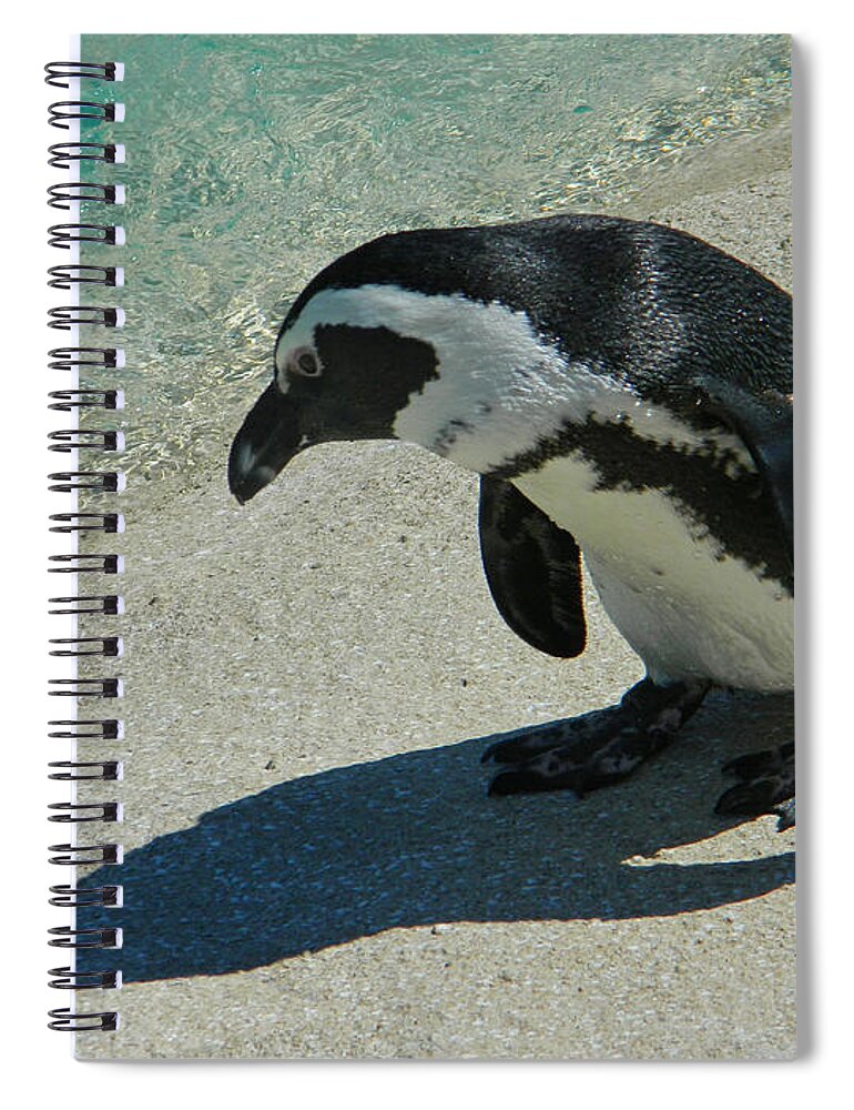 Shadow Spiral Notebook featuring the photograph Standing Here Just Me And My Shadow by Emmy Marie Vickers