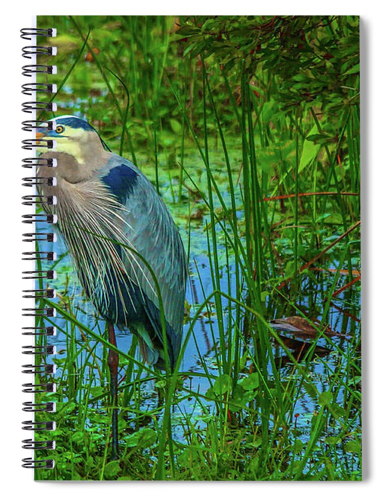 Heron Spiral Notebook featuring the photograph Standing Heron #1 by Tom Claud