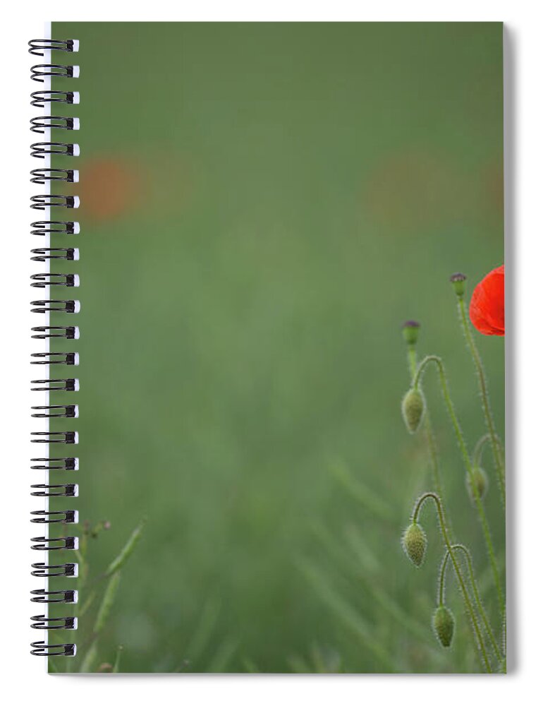 Wild Spiral Notebook featuring the photograph Standing Out In A Sea Of Green by Pete Walkden