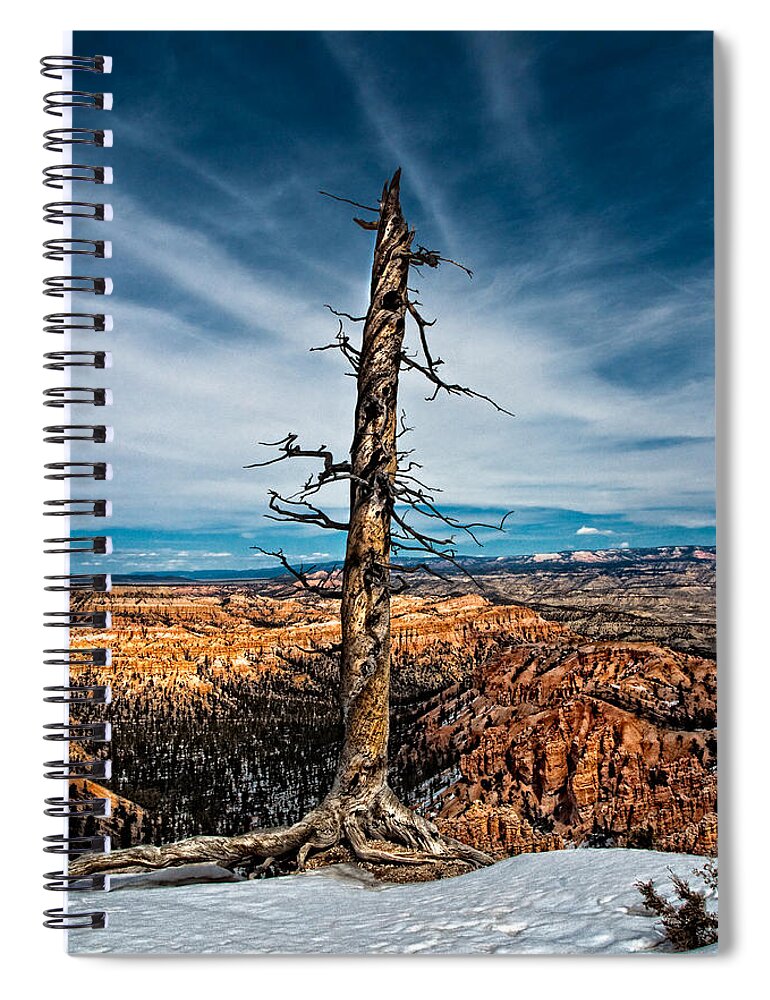 Art Spiral Notebook featuring the photograph Standing Regardless by Christopher Holmes