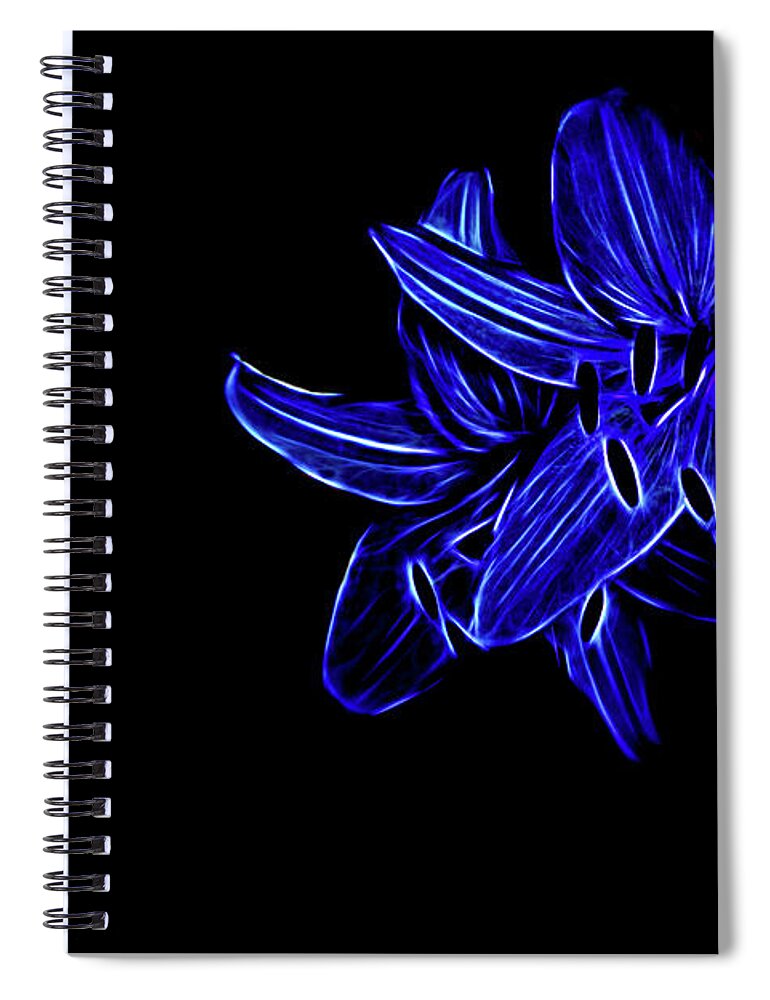 Lilycrest Spiral Notebook featuring the photograph Star Bright by Marilyn Cornwell