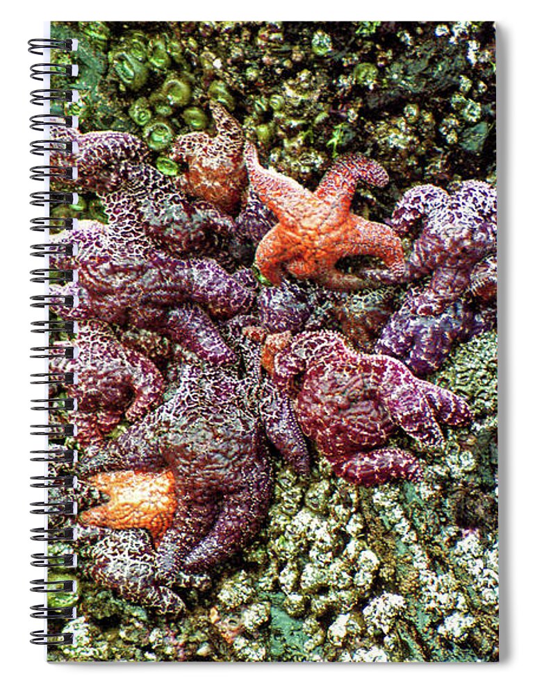 Starfish Spiral Notebook featuring the photograph Starfish by Doolittle Photography and Art