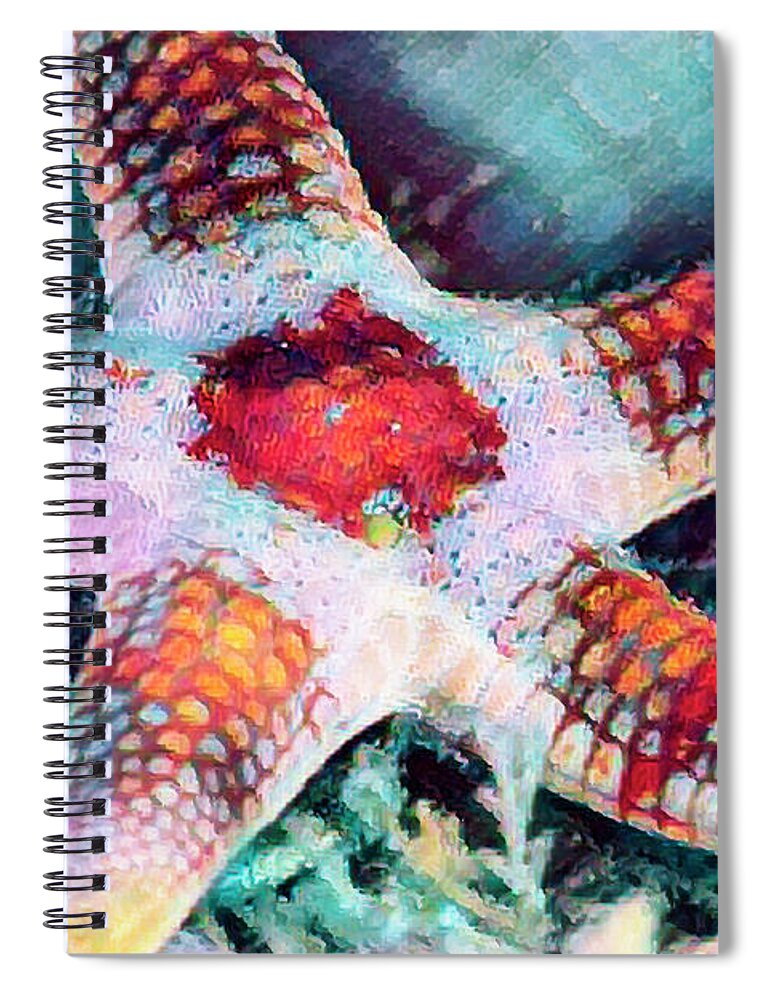 Florida Spiral Notebook featuring the photograph Starfish in Bright Colors by Debra and Dave Vanderlaan