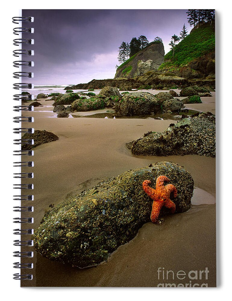 America Spiral Notebook featuring the photograph Starfish on the Rocks by Inge Johnsson
