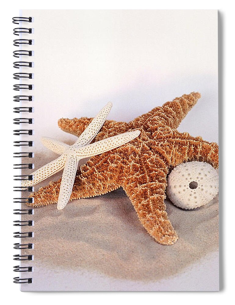 Starfish Spiral Notebook featuring the photograph Starfish Still Life by Terri Harper