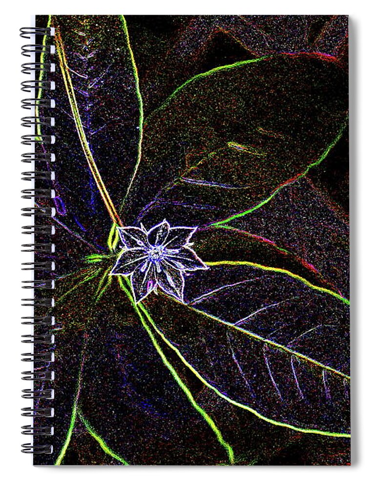 Flower Spiral Notebook featuring the pyrography Starflower by Harry Moulton