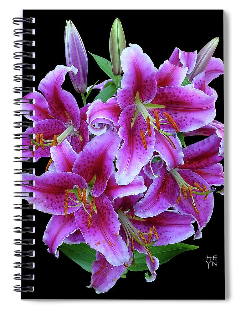 Cutout Spiral Notebook featuring the photograph Stargazer Lily Cutout by Shirley Heyn