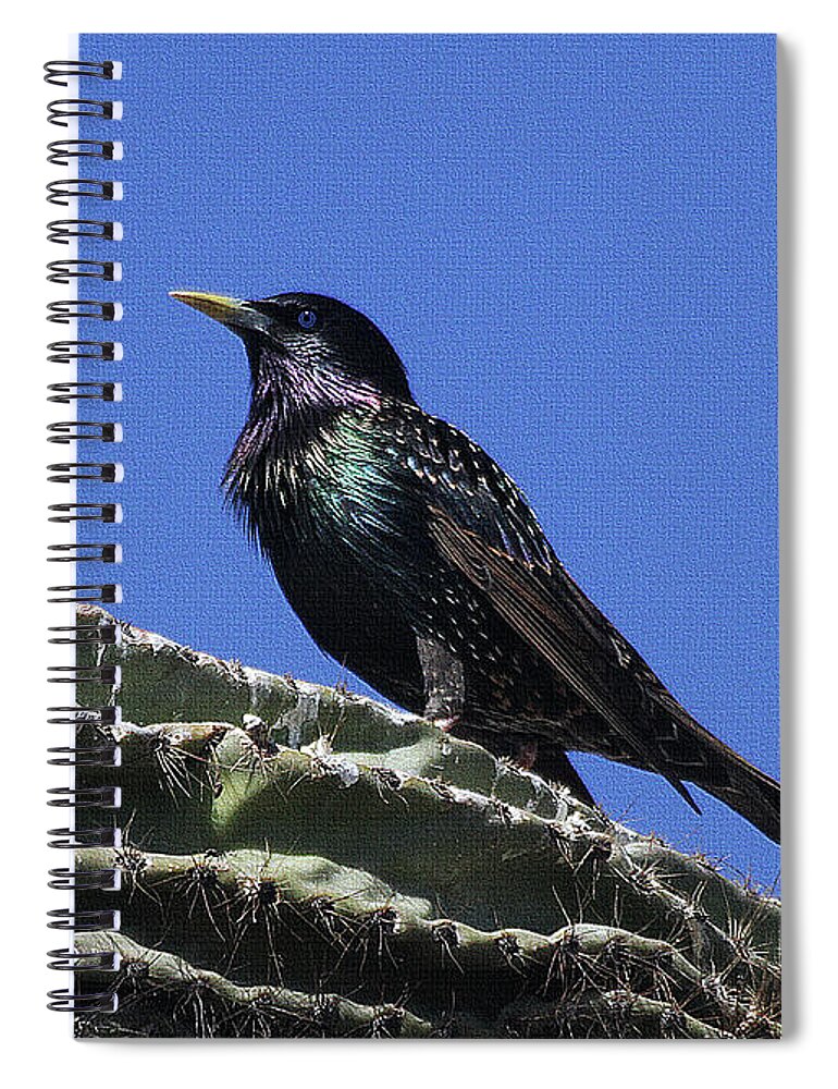 Starling On Saguaro Arm Spiral Notebook featuring the photograph Starling On Saguaro Arm by Tom Janca