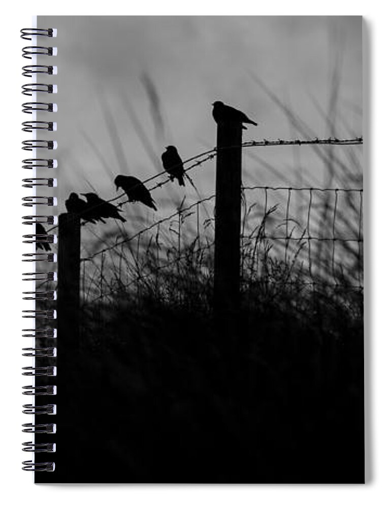 Starling Spiral Notebook featuring the photograph Starlings by Nigel R Bell
