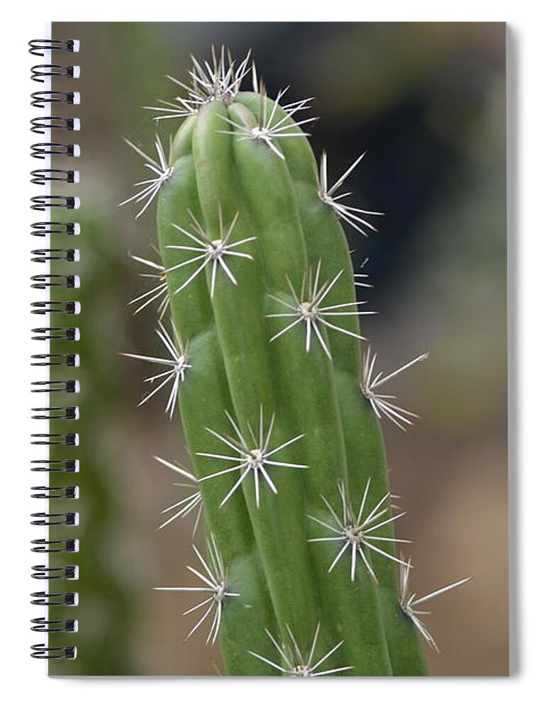 Cactus Spiral Notebook featuring the photograph Stay Sharp by Carolyn Mickulas