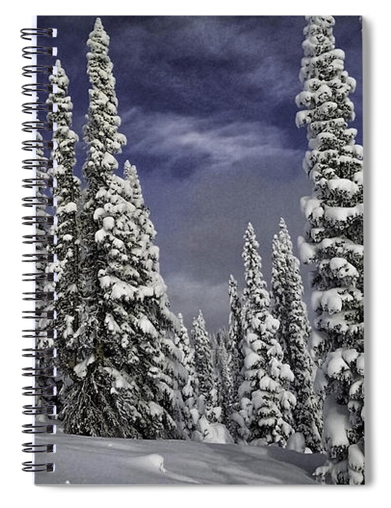  Winter Spiral Notebook featuring the photograph Steamboat Springs Trees 1 by Timothy Hacker