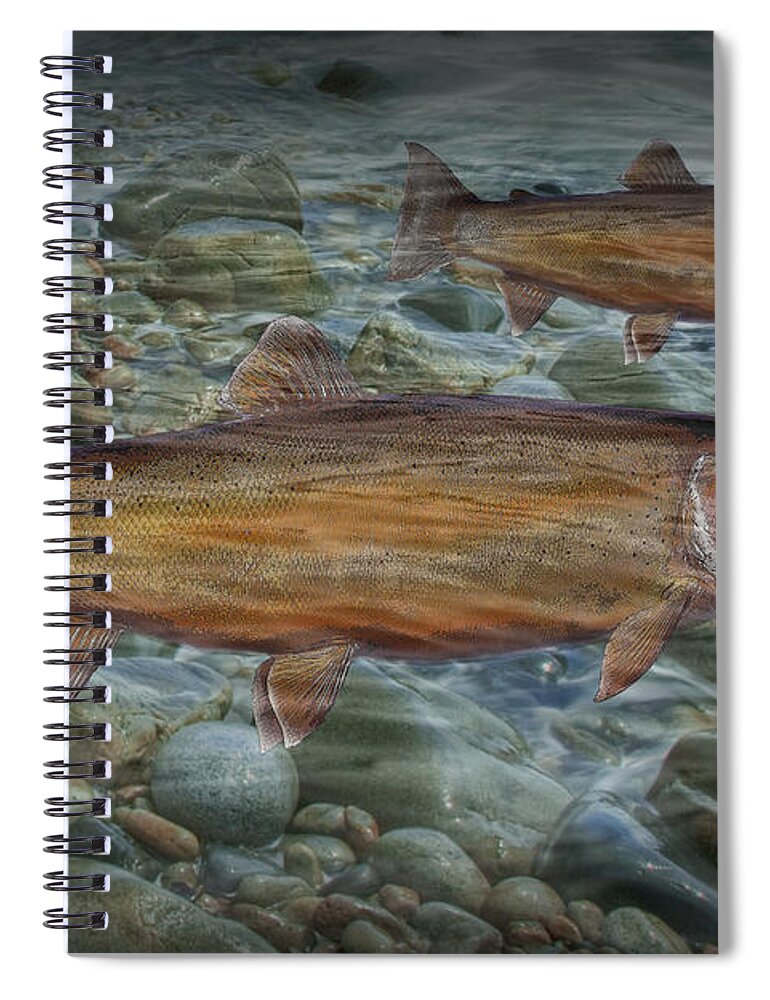 Art Spiral Notebook featuring the photograph Steelhead Trout Fall Migration by Randall Nyhof