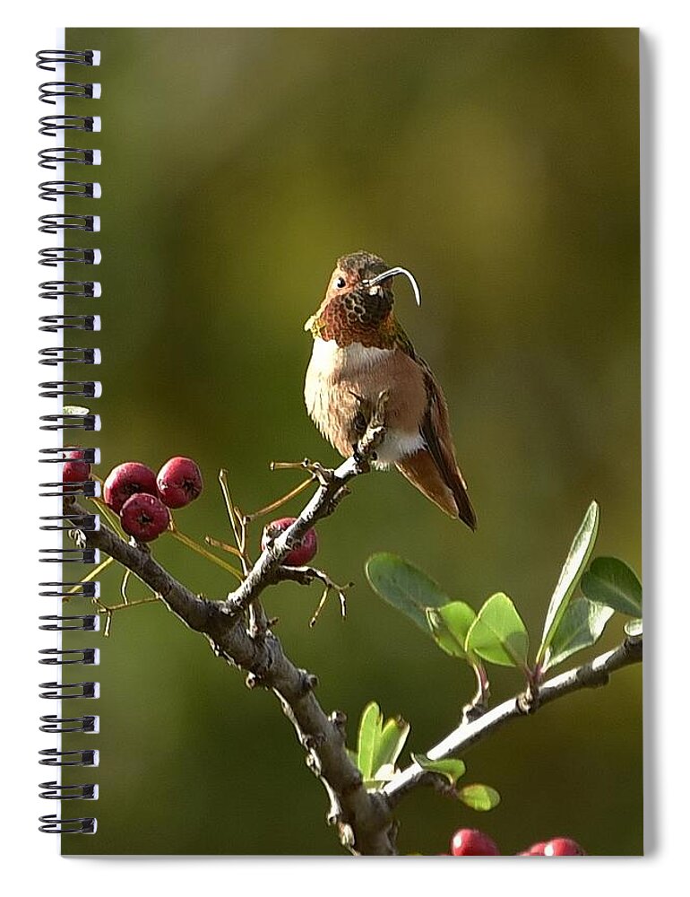 Linda Brody Spiral Notebook featuring the photograph Sticking My Tongue Out At You by Linda Brody