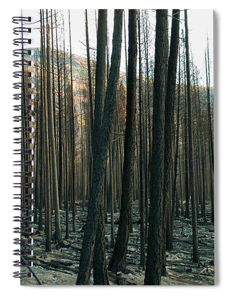 Stickpin Spiral Notebook featuring the photograph Stickpin by Troy Stapek