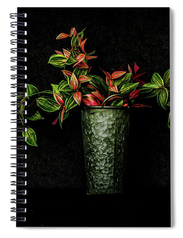 Still Life Spiral Notebook featuring the photograph Still Life # 3 by Tom and Pat Cory