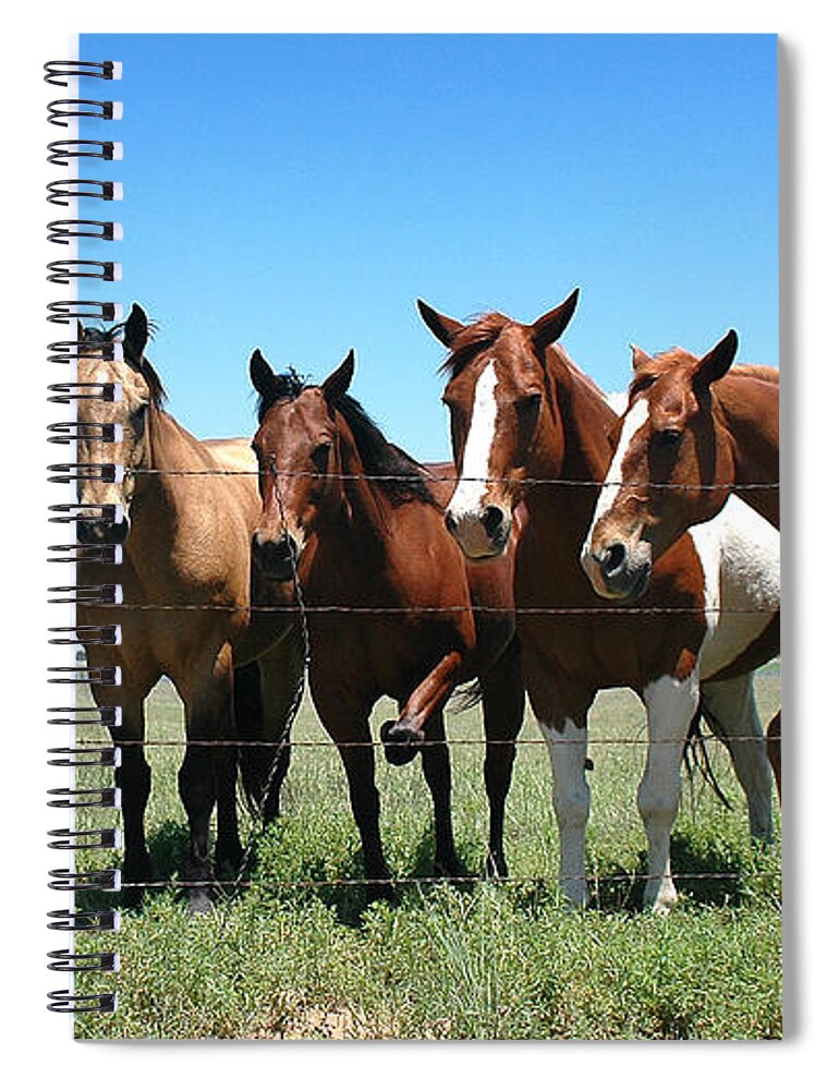 Horses Spiral Notebook featuring the photograph Stompin' Flies by Karen Slagle