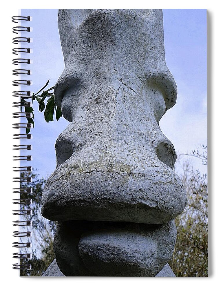Horse Spiral Notebook featuring the photograph Stone Horse by Laurie Perry