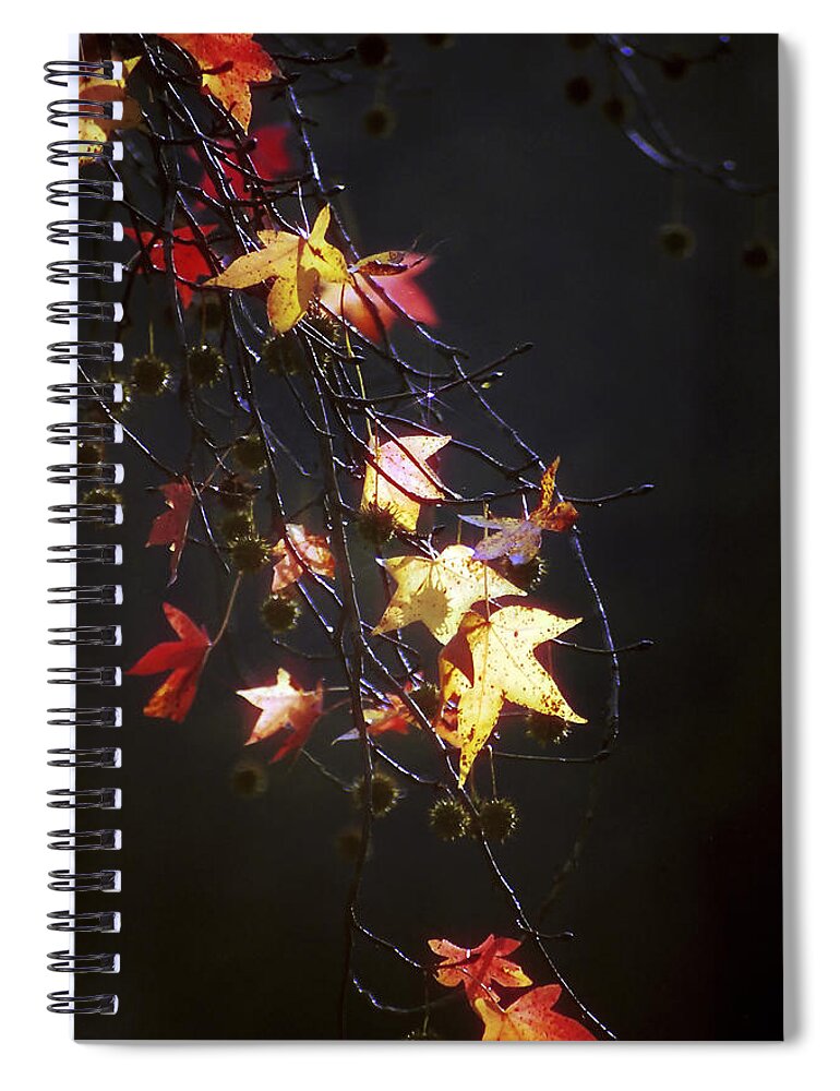 Storm's Bliss Spiral Notebook featuring the photograph Storms Bliss by Jill Love