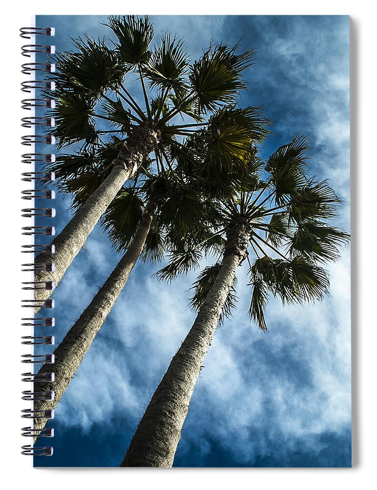 Palm Spiral Notebook featuring the photograph Stormy Palms 1 by David Smith